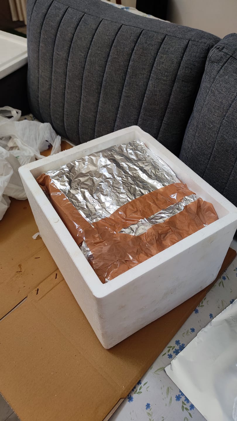 A thermocol box lined with foil, packed with frozen pouches