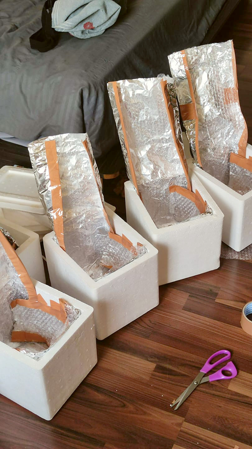 Thermocol boxes lined with foil and bubble wrap